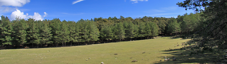 Lliurona (Albanyà)